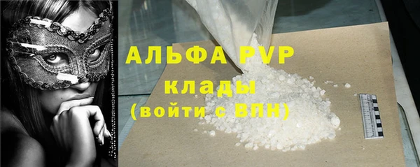 стаф Волосово