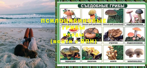 стаф Волосово