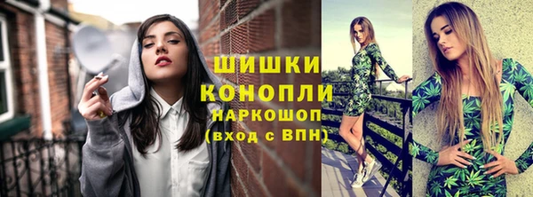 стаф Волосово