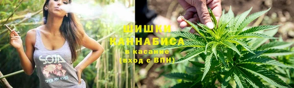 стаф Волосово