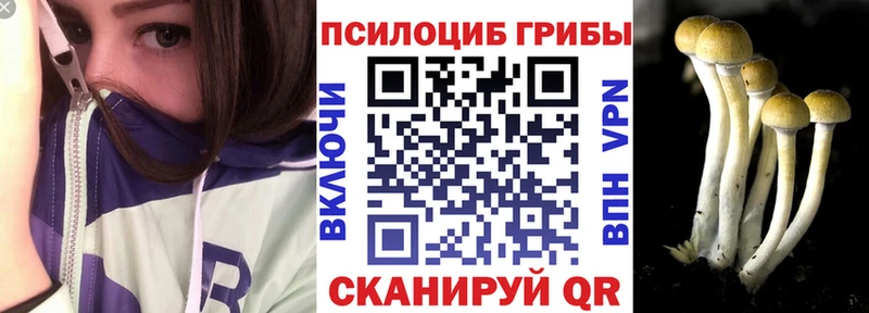 Галлюциногенные грибы Cubensis Купить Кушва