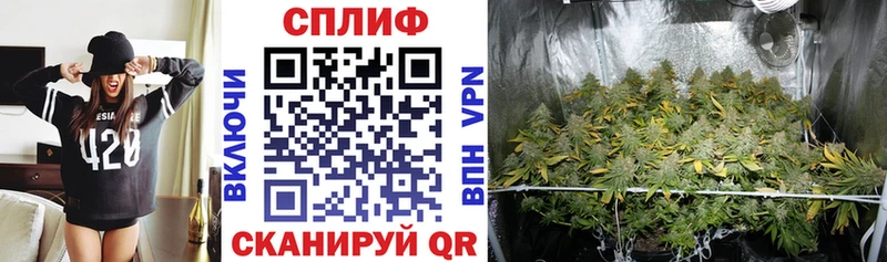 Конопля White Widow Кушва